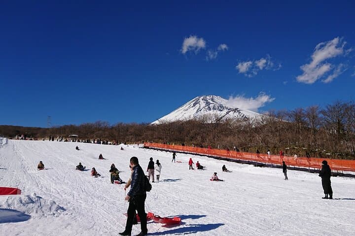 Mt. Fuji 5th St, Hakone Owakudani, Lake Ashi and Gotemba Outlets — photo 8