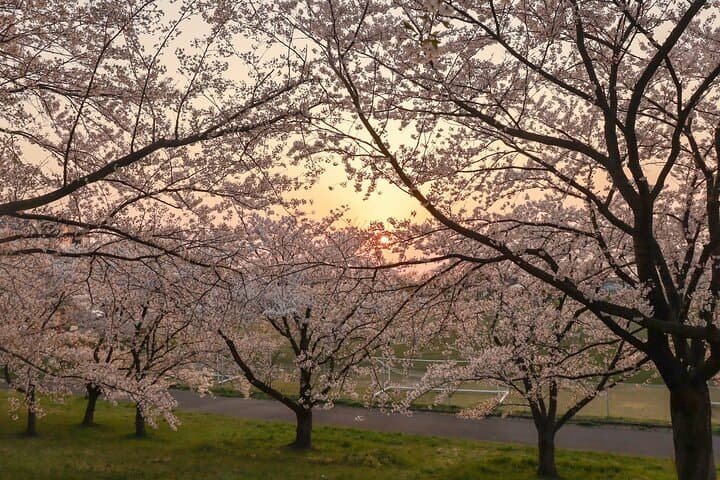 VIP Exclusive Hidden Niigata Tour with Artisans and Farmers — photo 3