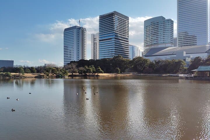 Tokyo: Hama Rikyu Garden Private Walking Tour — photo 7