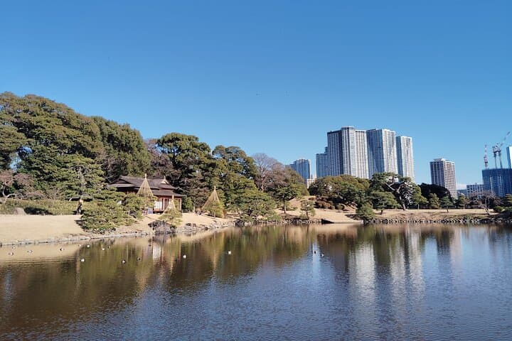 Tokyo: Hama Rikyu Garden Private Walking Tour — photo 8