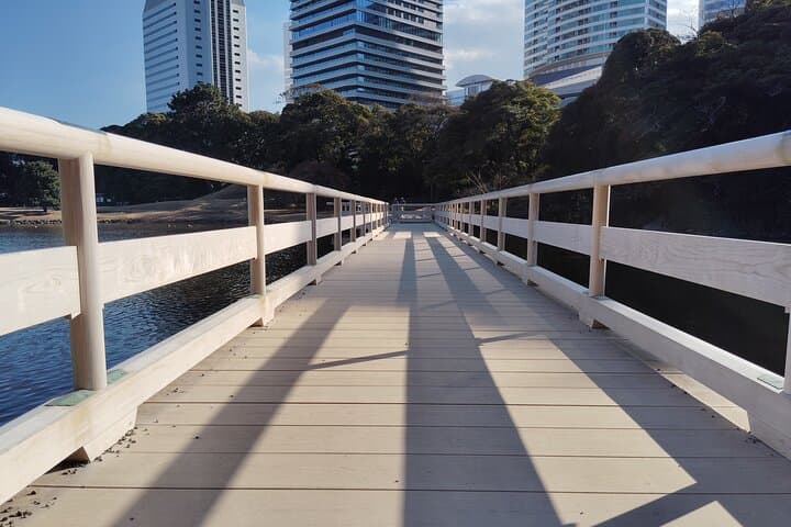 Tokyo: Hama Rikyu Garden Private Walking Tour — photo 9
