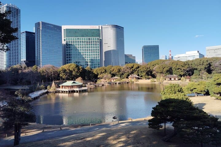 Tokyo: Hama Rikyu Garden Private Walking Tour — photo 10