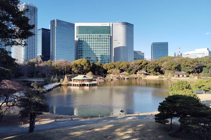 Tokyo: Hama Rikyu Garden Private Walking Tour — photo 5
