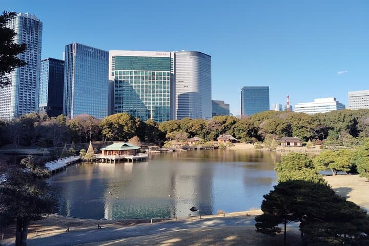Tokyo: Hama Rikyu Garden Private Walking Tour — photo 11