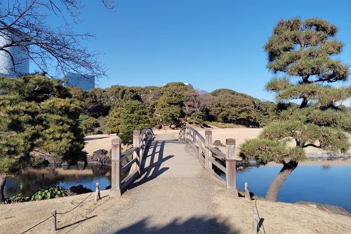 Tokyo: Hama Rikyu Garden Private Walking Tour — photo 12
