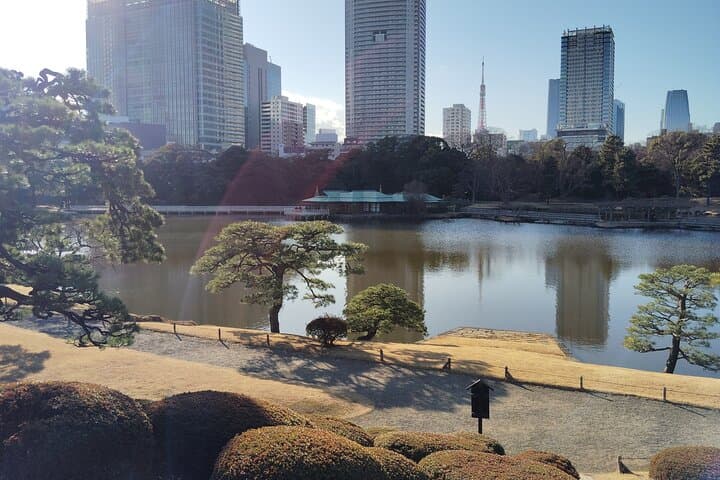Tokyo: Hama Rikyu Garden Private Walking Tour — photo 13