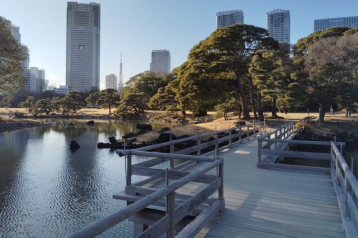 Tokyo: Hama Rikyu Garden Private Walking Tour — photo 4