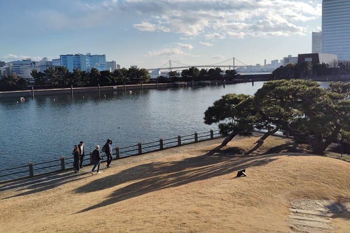 Tokyo: Hama Rikyu Garden Private Walking Tour — photo 15