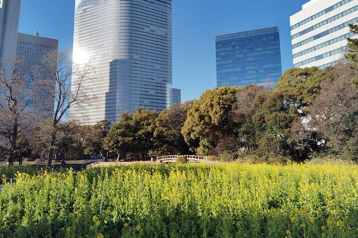 Tokyo: Hama Rikyu Garden Private Walking Tour — photo 16