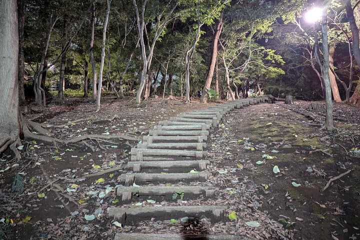 Tokyo True Crime and Ghost Stories Tour — photo 5