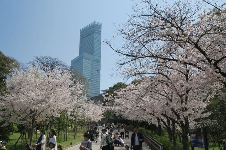 Tennoji Ward, Shinsekai 3 hours Walking Tour — photo 10
