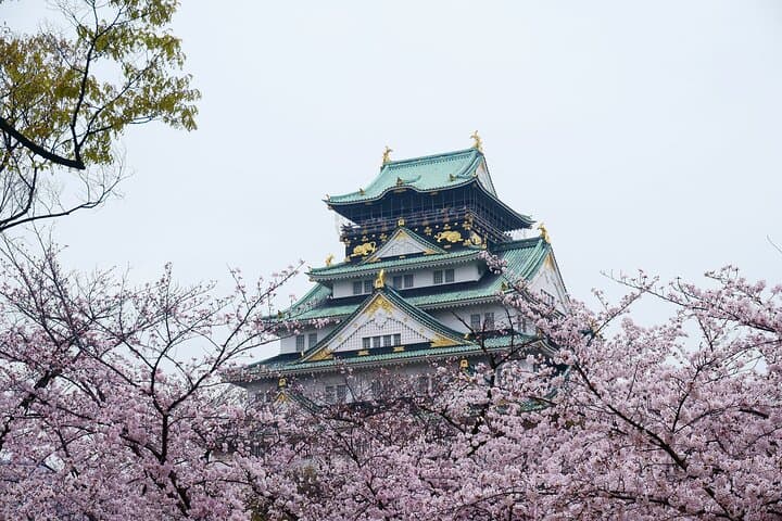 Customizable Osaka Historical Full Day Walking Tour — photo 2