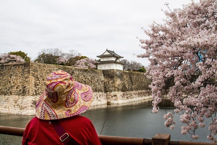 Osaka Castle & Samurai Tour: Entry Included Option — photo 3