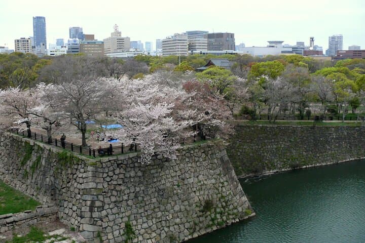 Osaka Castle & Samurai Tour: Entry Included Option — photo 4
