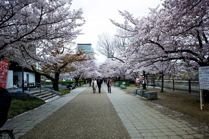 Osaka Castle & Samurai Tour: Entry Included Option — photo 6