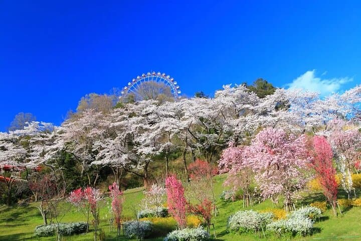 Sagamiko Resort Pleasure Forest Ticket and Ride Pass — photo 6