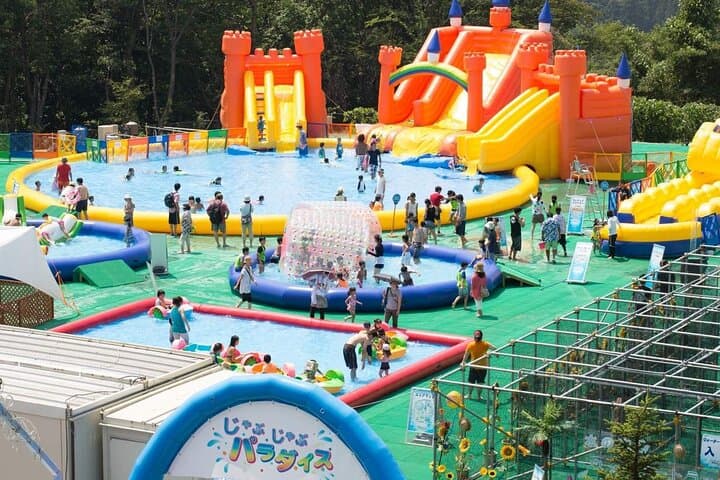 Sagamiko Resort Pleasure Forest Ticket and Ride Pass — photo 8