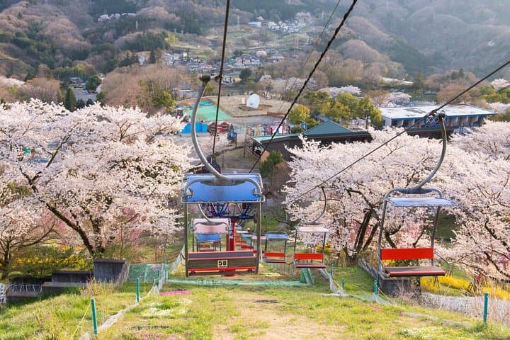 Sagamiko Resort Pleasure Forest Ticket and Ride Pass — photo 5