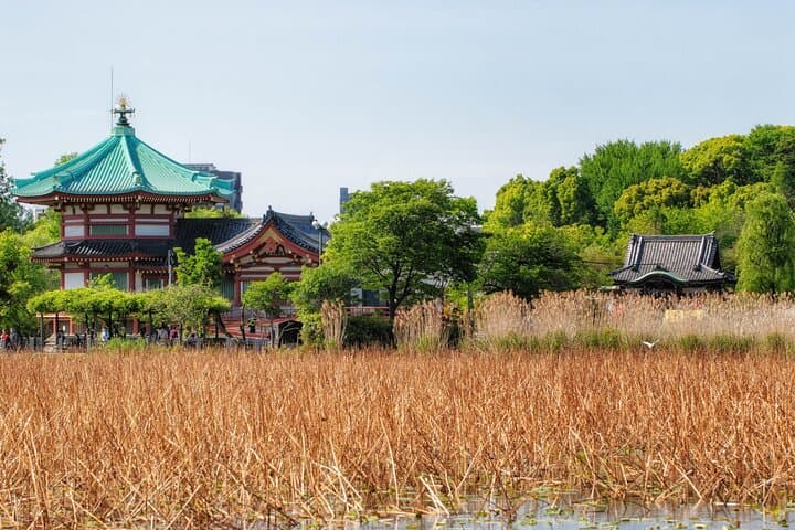 Tokyo: A Downtown Tour through Kanda, Ueno, and Asakusa — photo 7