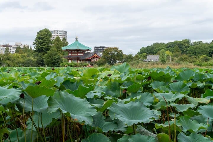 Tokyo: A Downtown Tour through Kanda, Ueno, and Asakusa — photo 4