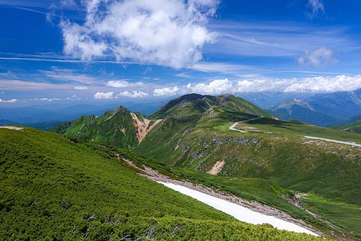 From Takayama Mt. Norikura Alpine Flowers and Panoramic Peaks — photo 5