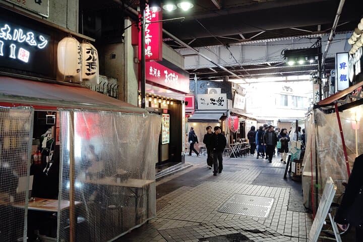 Tokyo: A Downtown Tour through Kanda, Ueno, and Asakusa — photo 11