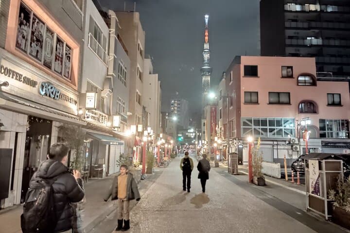 Tokyo: A Downtown Tour through Kanda, Ueno, and Asakusa — photo 16