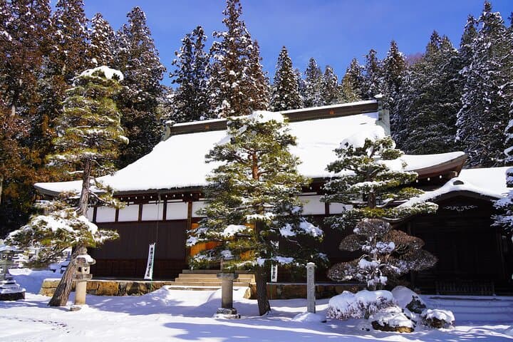 Half Day Walking Tour Takayama’s Hidden Gems and Temple Walk — photo 5