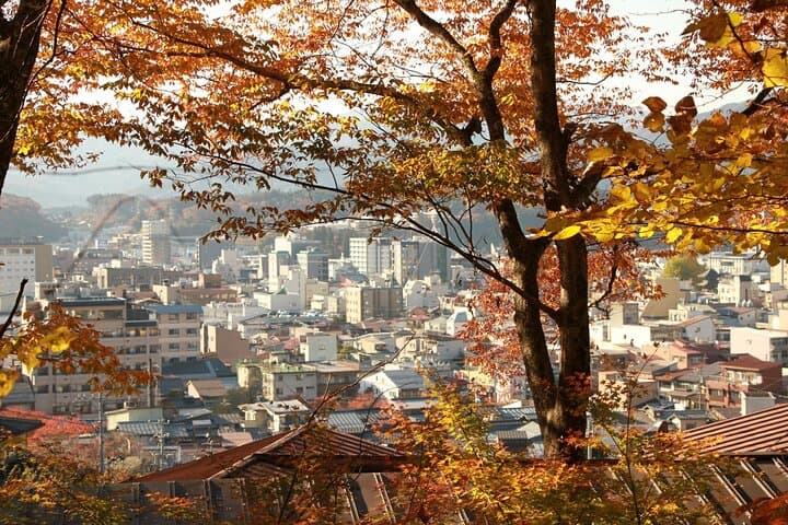 Half Day Walking Tour Takayama’s Hidden Gems and Temple Walk — photo 8