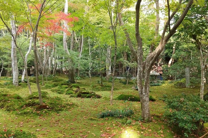 Kyoto Quiet Arashiyama and Sagano Temples Guided Tour — photo 2
