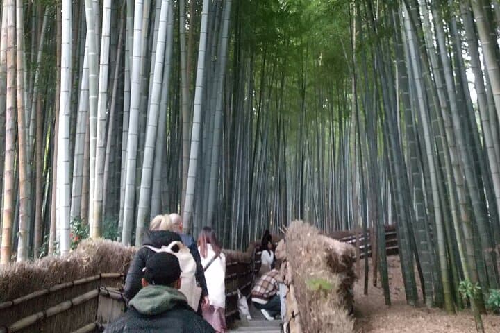 Kyoto Quiet Arashiyama and Sagano Temples Guided Tour — photo 5