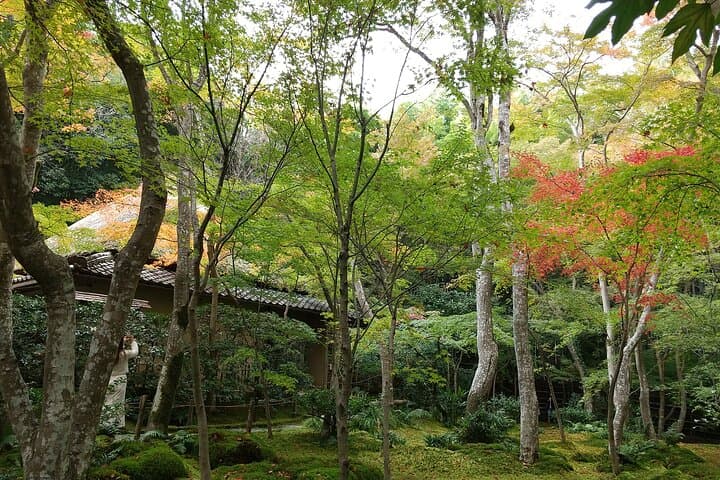 Kyoto Quiet Arashiyama and Sagano Temples Guided Tour — photo 7