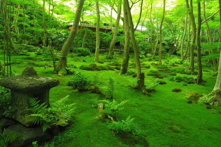 Kyoto Quiet Arashiyama and Sagano Temples Guided Tour — photo 9
