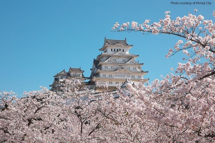 Himeji Castle and Akashi Kaikyo Bridge Walking Tour from Kyoto — photo 1