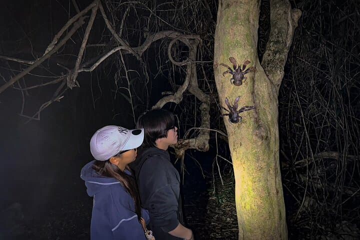 Okinawa Miyako Jungle&Starry Sky tour Free Pick up and Drop off — photo 10