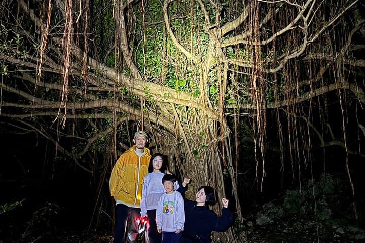 Okinawa Miyako Jungle&Starry Sky tour Free Pick up and Drop off — photo 11
