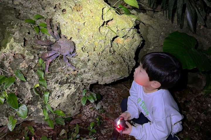 Okinawa Miyako Jungle&Starry Sky tour Free Pick up and Drop off — photo 12
