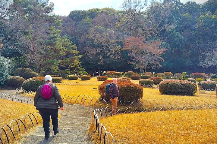 Tokyo: Meiji Jingu Shrine & Inner Garden Private Tour (2h) — photo 3