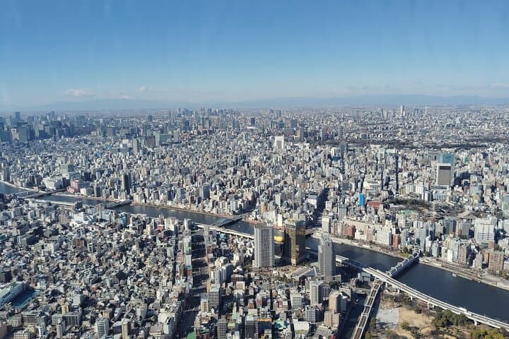 Tokyo Private Day Tour – Designed for First-Time Visitors — photo 13