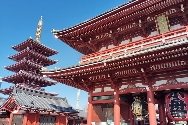 Tokyo Private Day Tour – Designed for First-Time Visitors — photo 16