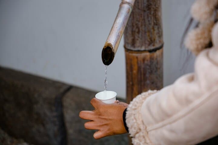 Hiroshima Saijo Sake Tasting Tour with visit to 3 Breweries — photo 4