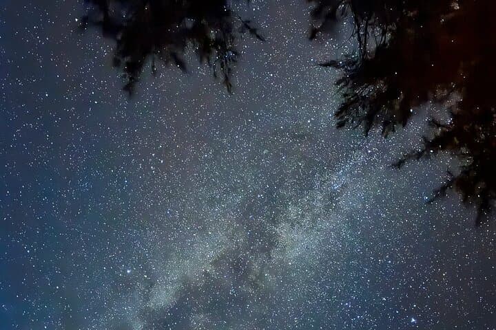 Okinawa Miyako Jungle&Starry Sky tour Free Pick up and Drop off — photo 14