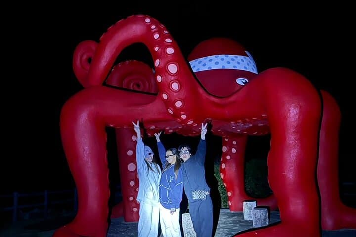 Okinawa Miyako Jungle&Starry Sky tour Free Pick up and Drop off — photo 16