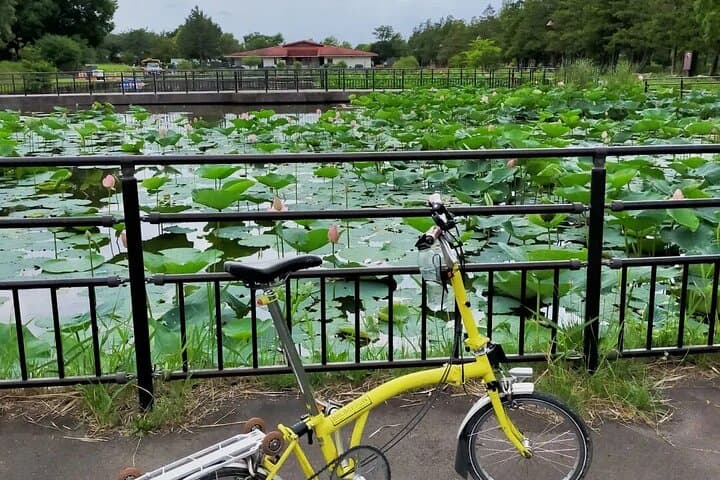 Tokyo Shibamata Retro Bike Tour with Lunch & Coffee — photo 6