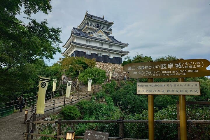 Day Trip Gifu Highlight Tour by Public Transportation from Nagoya — photo 3