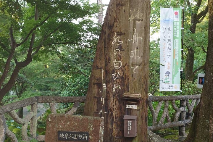 Day Trip Gifu Highlight Tour by Public Transportation from Nagoya — photo 12