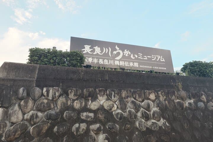 Day Trip Gifu Highlight Tour by Public Transportation from Nagoya — photo 15
