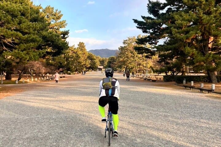 Kamogawa River Kyoto Bike Tour Experience — photo 10