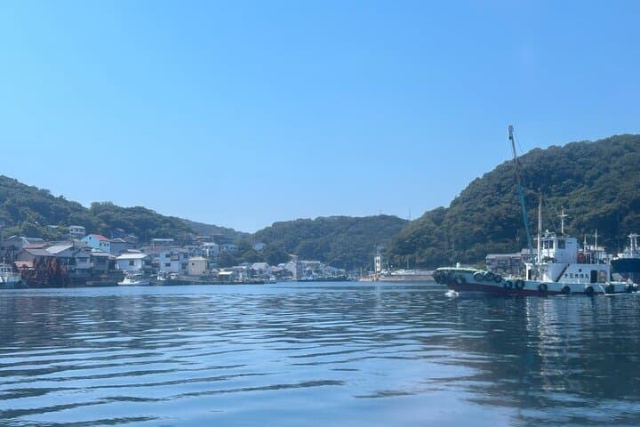 Private Cruise to Ieshima Island with Lunch Included — photo 8