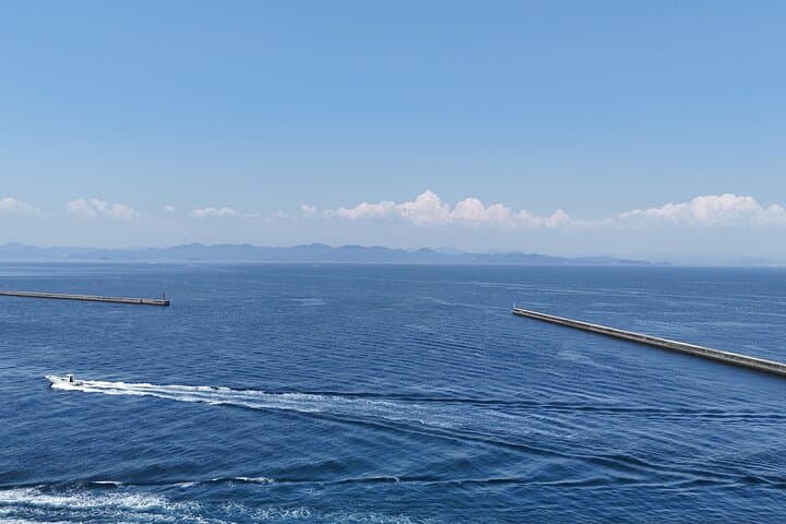 Private Cruise to Ieshima Island with Lunch Included — photo 10